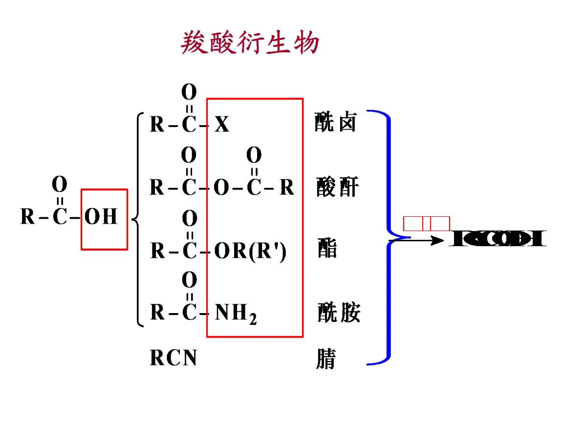 羧酸衍生物是指哪些物质